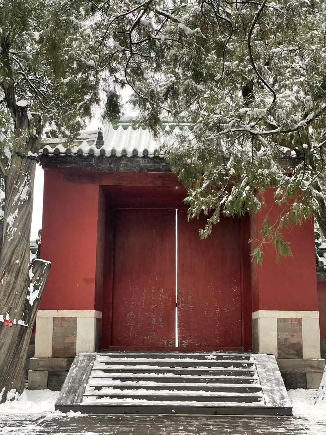 关于植物的诗句20首，诗有音韵，让人陶醉