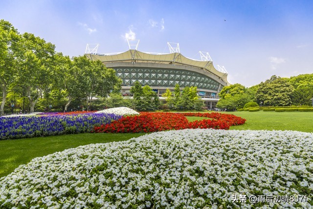 鲁迅的名言20句，读完瞬间清醒