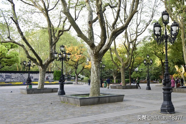 鲁迅的名言20句，读完瞬间清醒