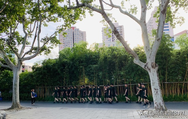 鲁迅的名言20句，读完瞬间清醒