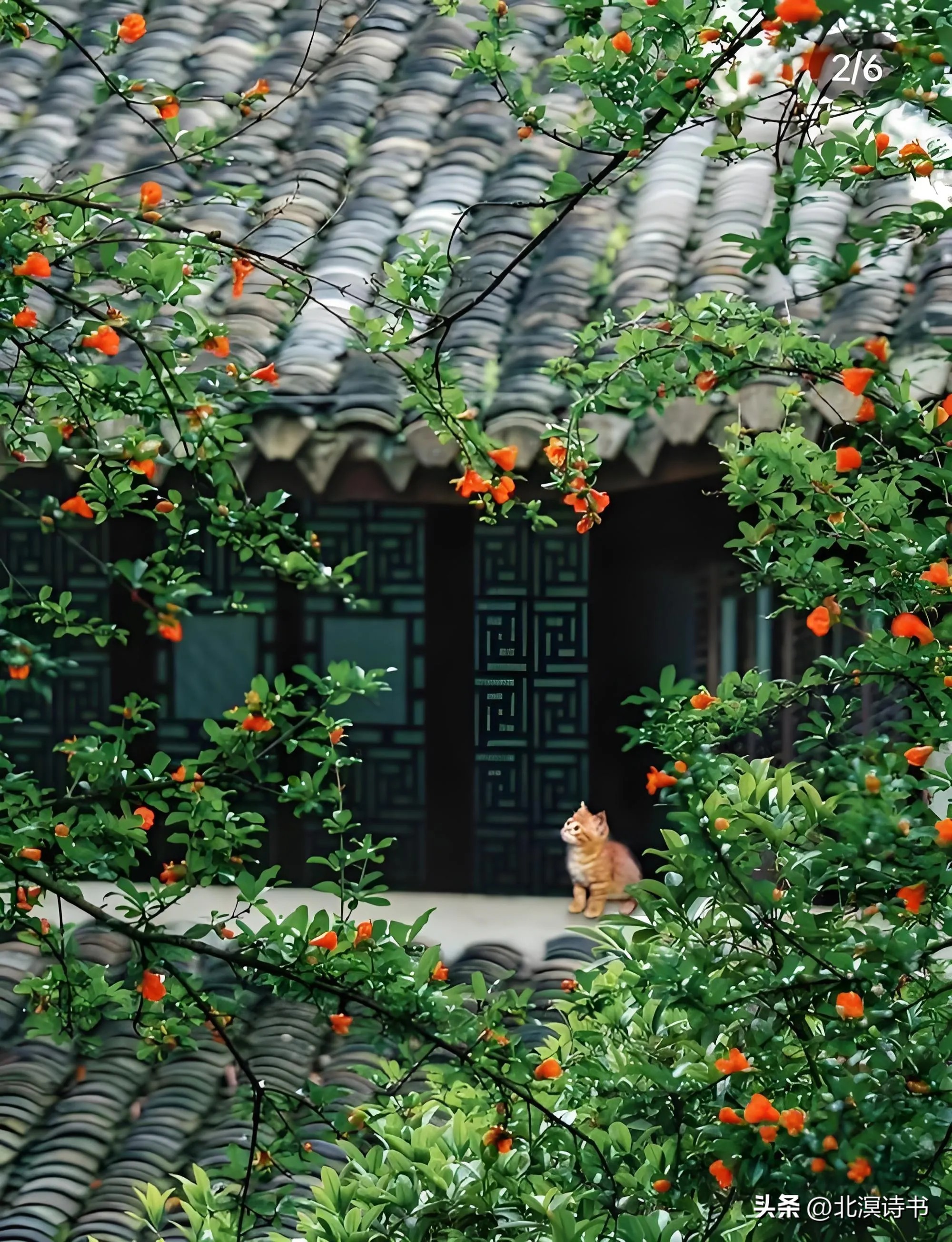 端午节的古诗10首，看古人端午的人间烟火