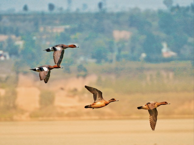 关于描写秋天的诗句10首，触摸秋天的灵魂