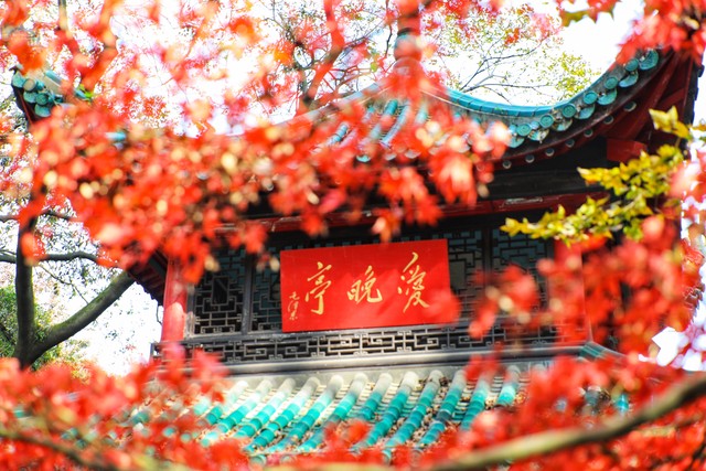 关于描写秋天的诗句10首，触摸秋天的灵魂