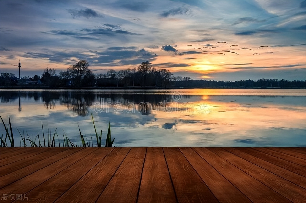 爱情短句子，哪一句最让你心动