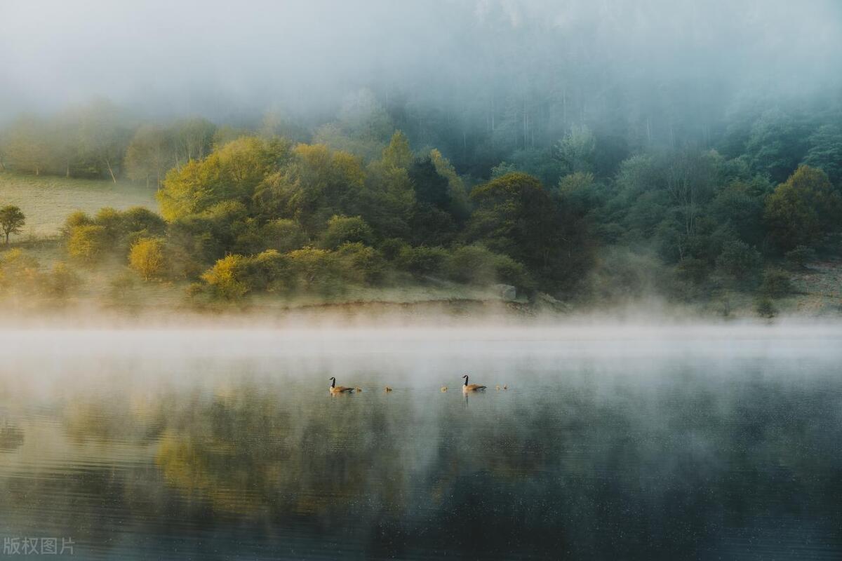 爱情短句子，哪一句最让你心动