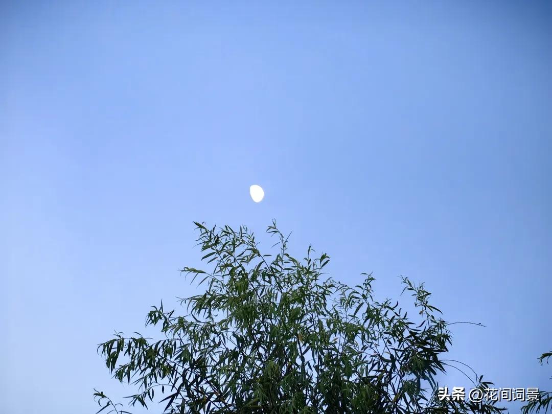 写月光的唯美古诗词10首，每一首都令人心醉