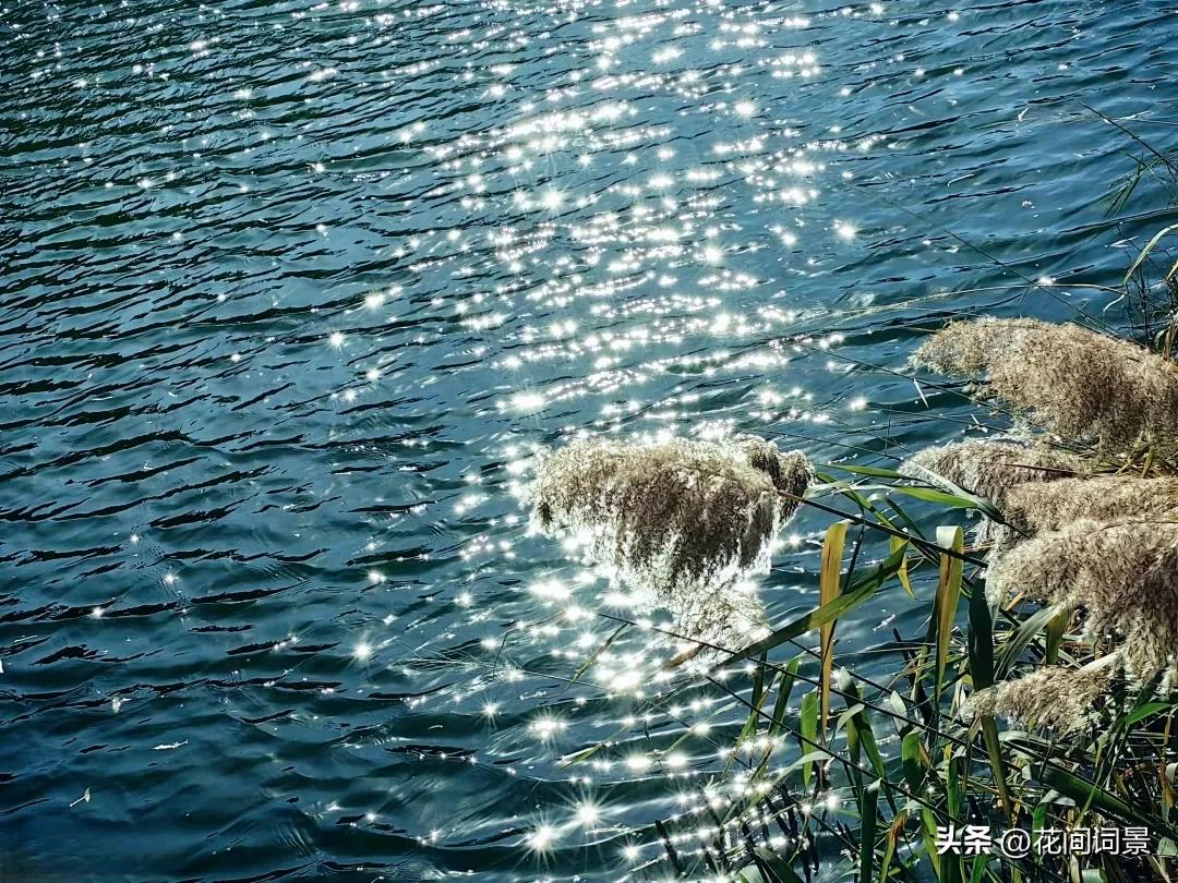 写月光的唯美古诗词10首，每一首都令人心醉