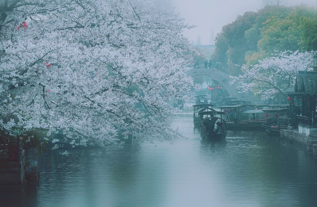 春雨绵绵的唯美句子20句，句句唯美