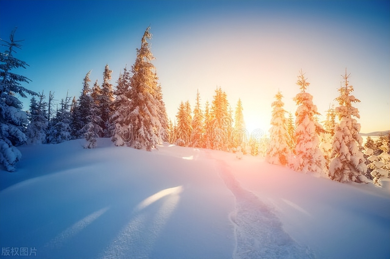 关于冬天的好句20句，让你的冬日更添诗意