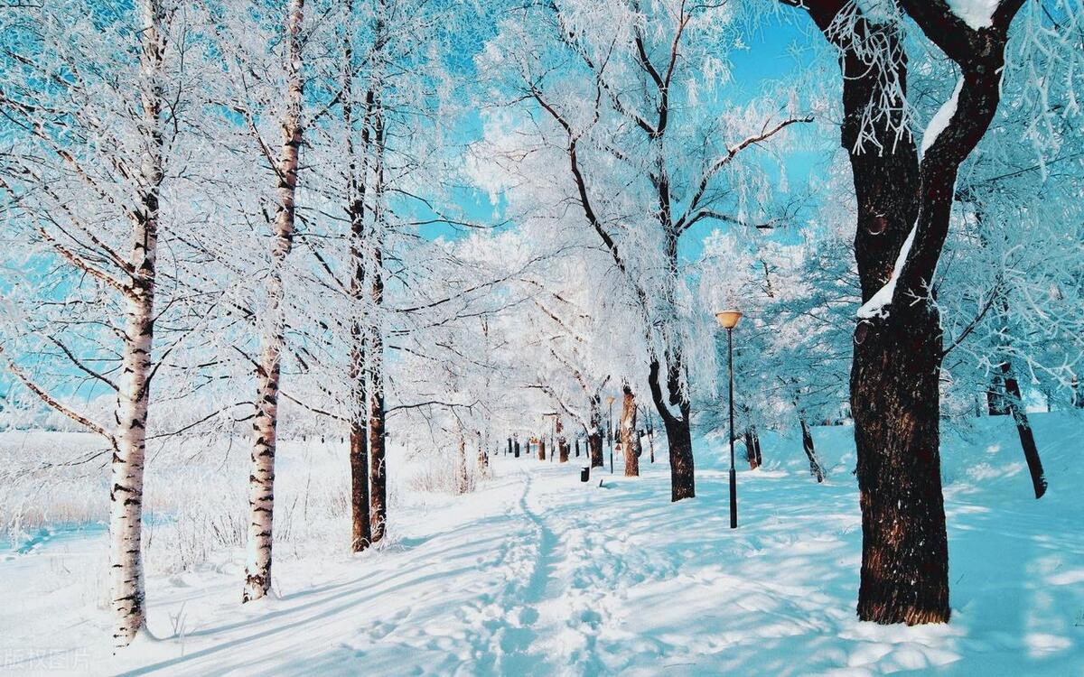 关于冬天的好句20句，让你的冬日更添诗意
