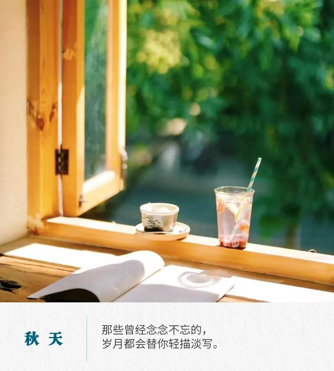 秋天的句子唯美短句50句，拾一片秋光，暖一段岁月