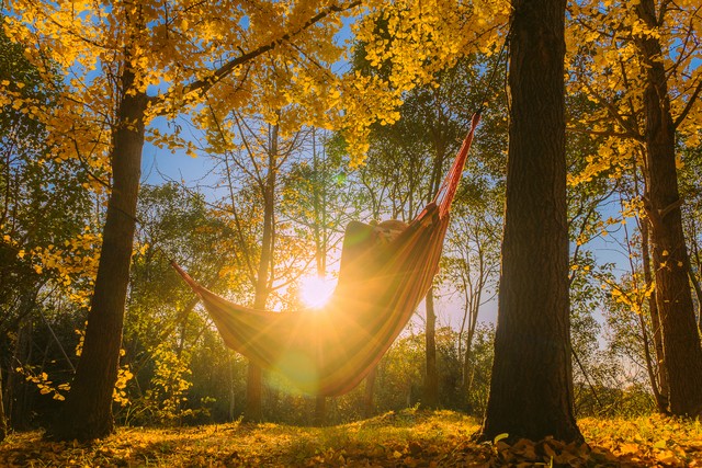 赞美秋天的句子15句，把秋天写得这么美