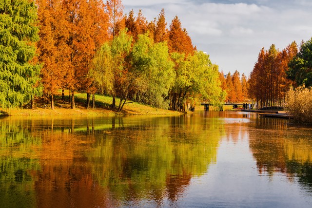 赞美秋天的句子15句，把秋天写得这么美