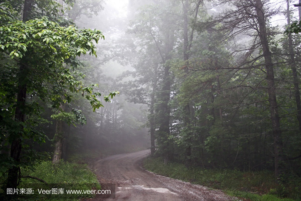 关于乐趣的作文800字初中习作《这是充满乐趣的好地方》