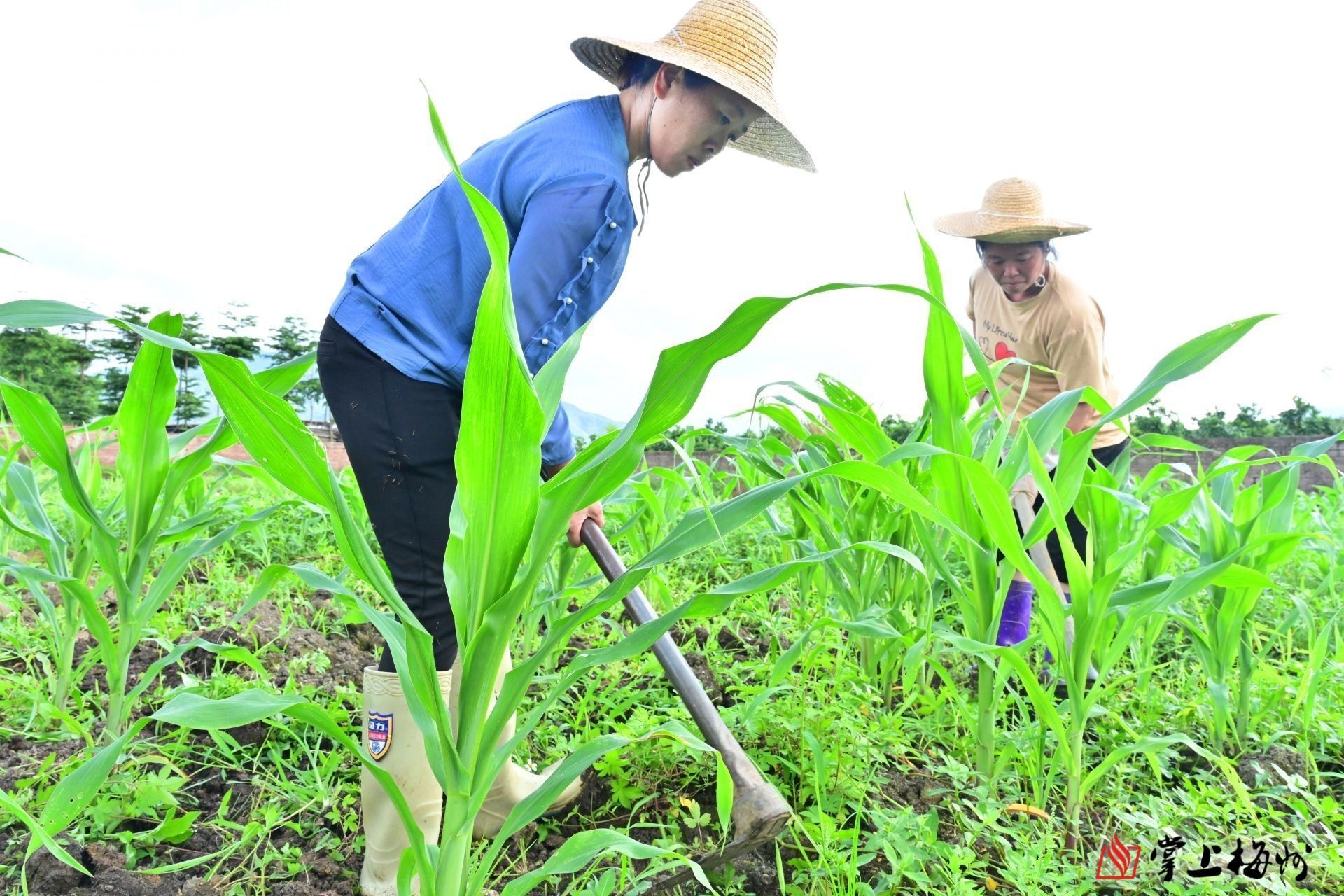 关于乐趣的作文800字初中习作《这是充满乐趣的好地方》