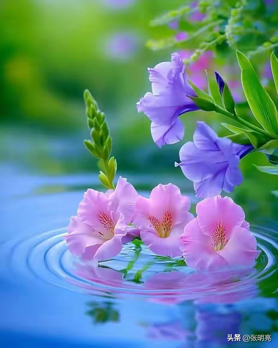 人生感悟经典句子12句，句句治愈人心