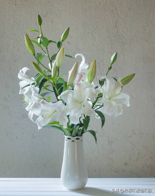 信任的句子24句，温暖你的心灵!