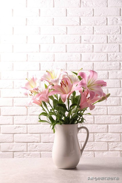 信任的句子24句，温暖你的心灵!