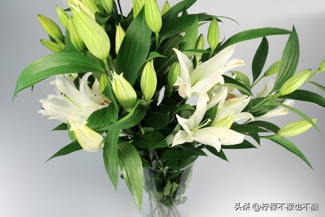 信任的句子24句，温暖你的心灵!