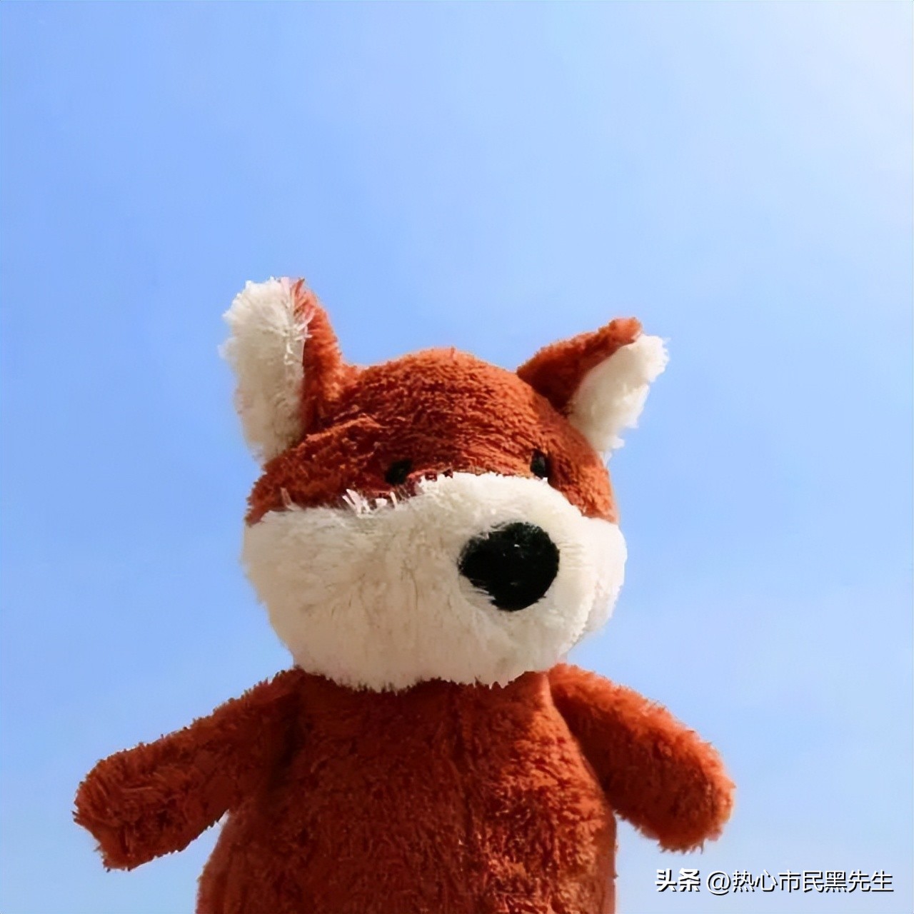 给自己一个坚持的句子20句，简洁有力，鼓舞人心