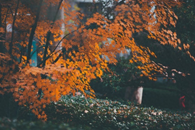 离别诗句唯美6首，不谈亏欠，谢谢曾遇见