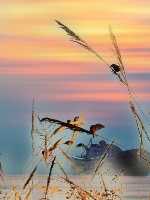 离别诗句唯美6首，不谈亏欠，谢谢曾遇见