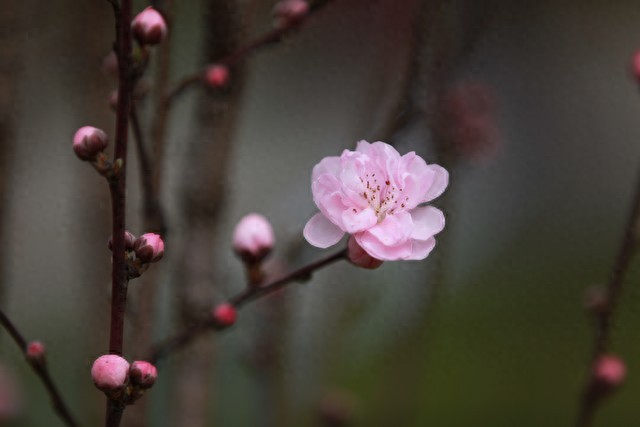 感慨时间快的优美句子10句，岁月如梭，时光悄然流逝