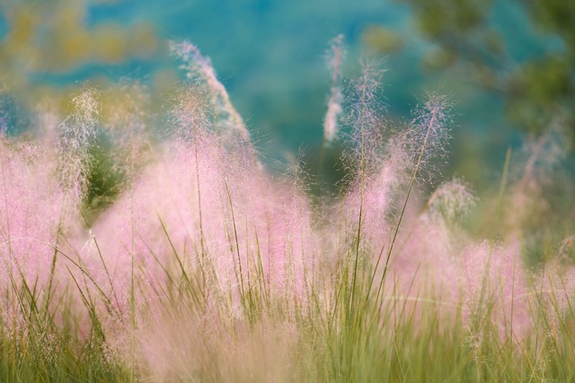 感慨时间快的优美句子10句，岁月如梭，时光悄然流逝