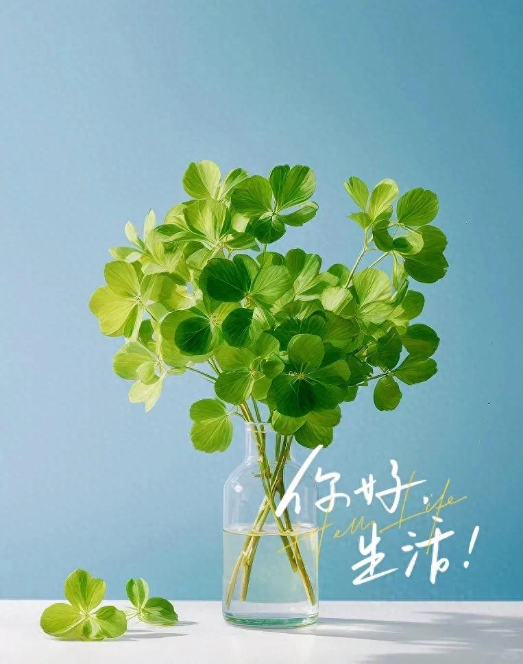 励志的话正能量简短15句，让你逆流而上