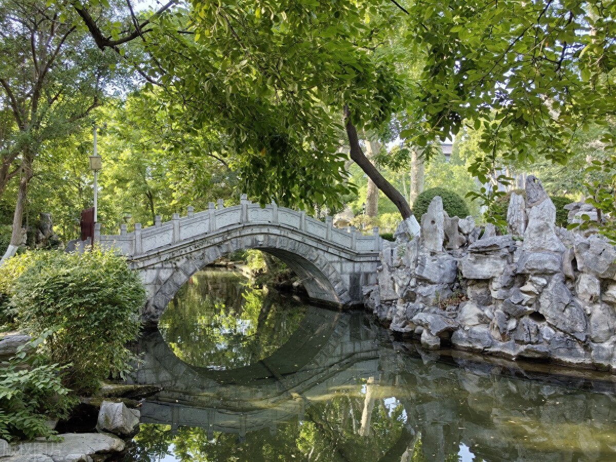 学会独立作文400字小学四年级习作（我学会了独立）