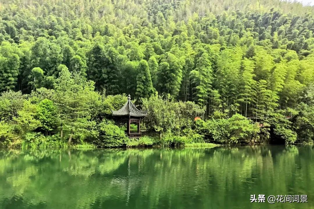 竹子诗句最出名诗句10首，句句意境深远