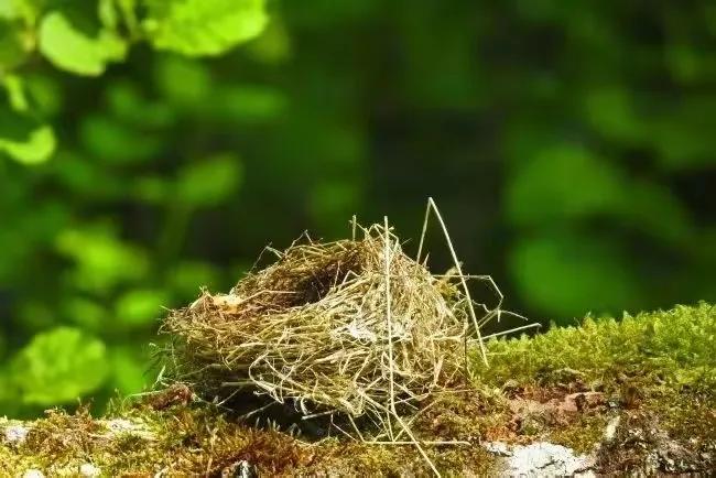 干净励志短句朋友圈21句，让人干劲十足
