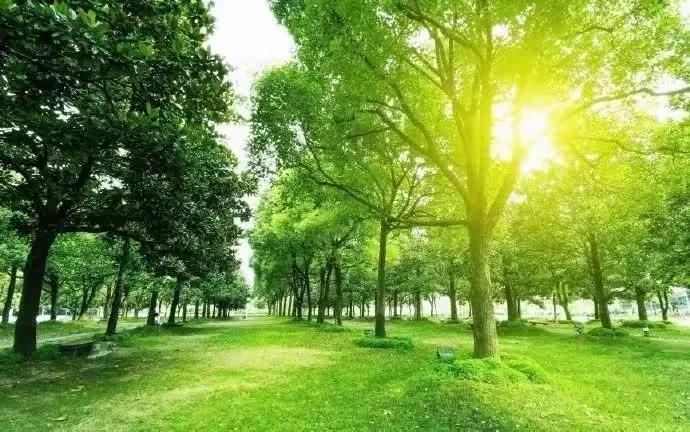 干净励志短句朋友圈21句，让人干劲十足