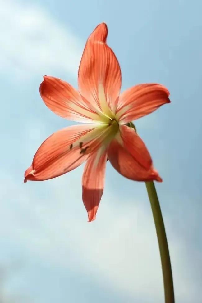 干净励志短句朋友圈21句，让人干劲十足