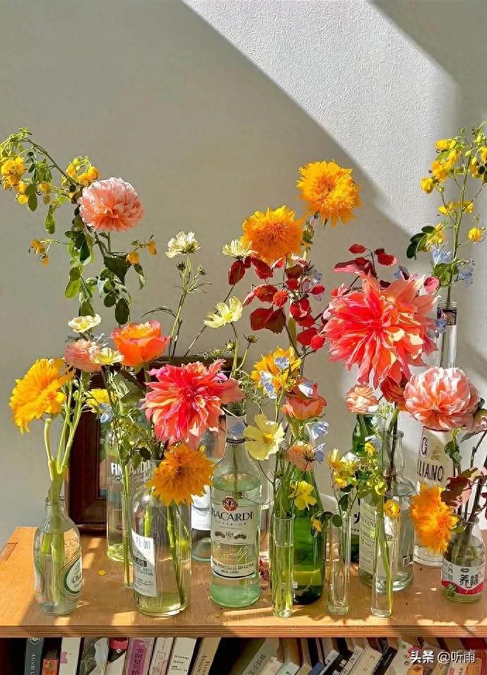 青年节祝福语10句，致青春，为梦想加油!