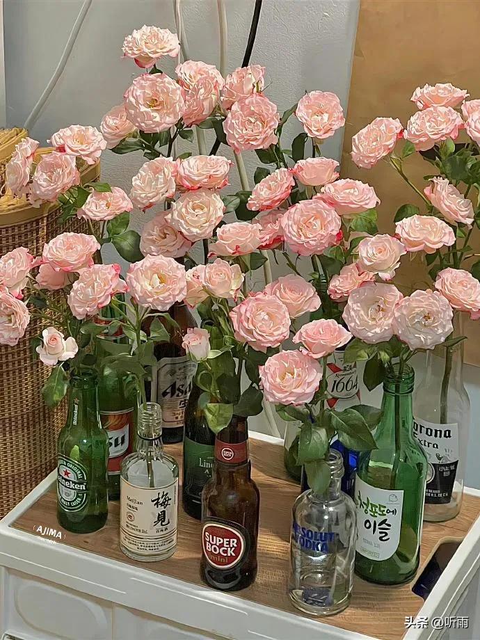 青年节祝福语10句，致青春，为梦想加油!