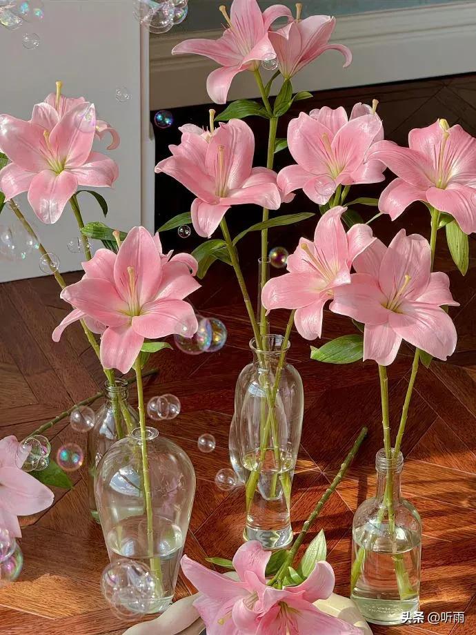 青年节祝福语10句，致青春，为梦想加油!