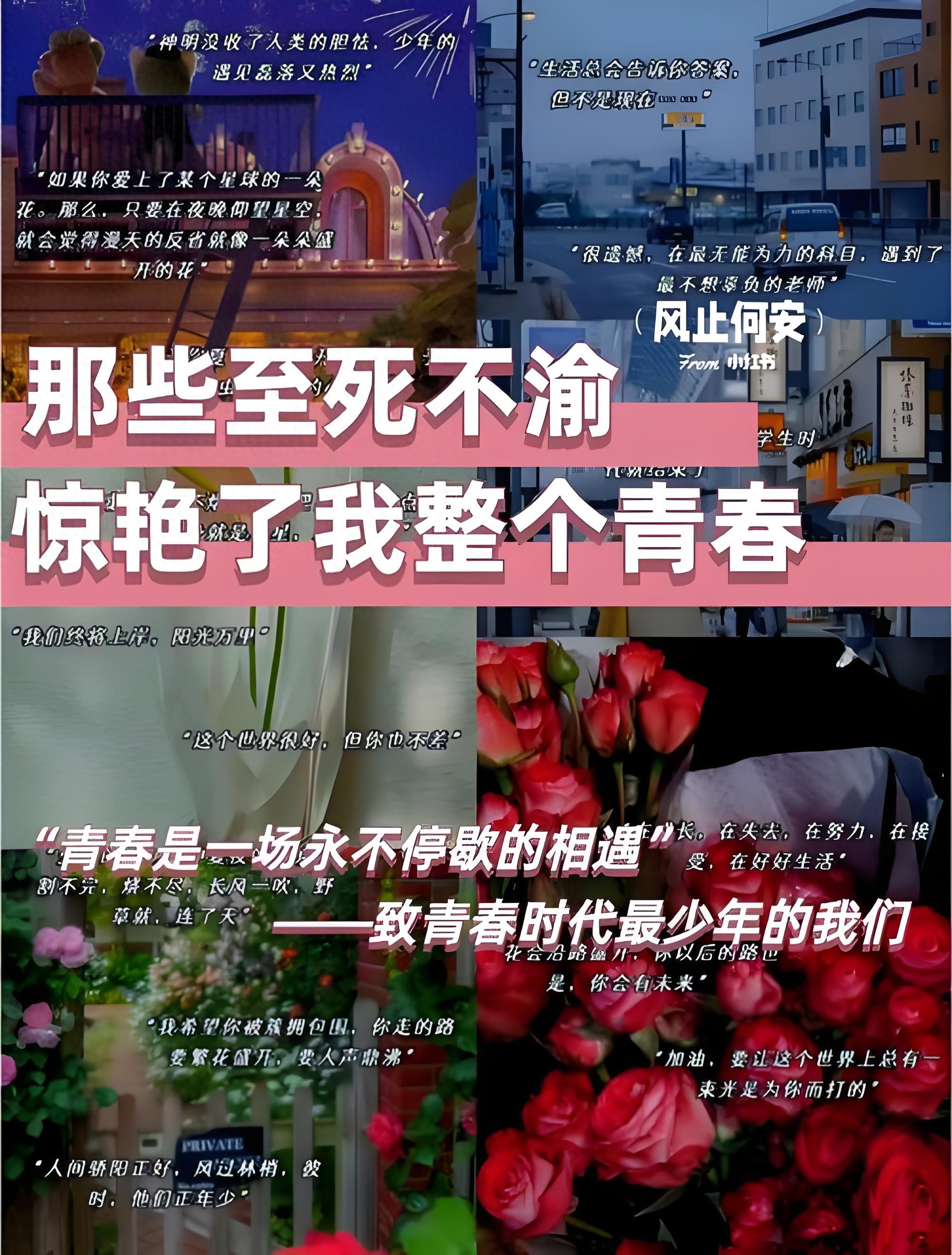 青春优美句子27句，每一句话都打动人心