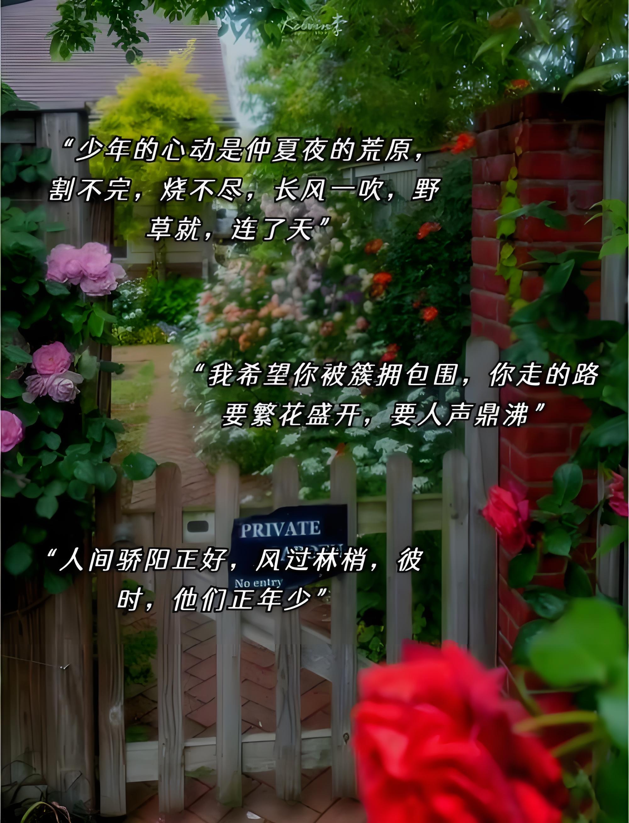 青春优美句子27句，每一句话都打动人心