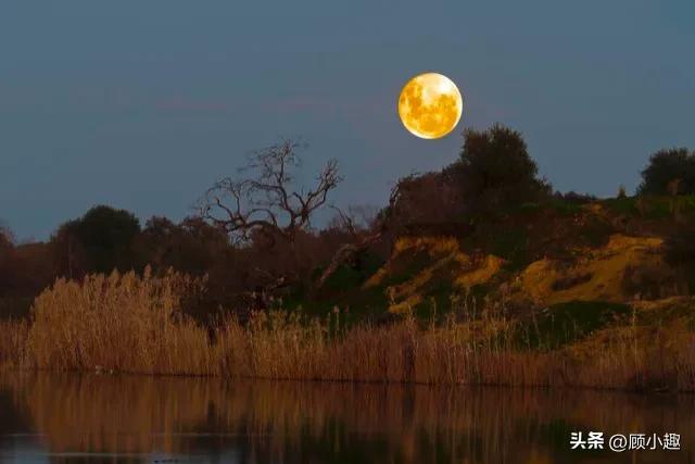 月亮优美句子11句，欣赏空灵的唯美月色
