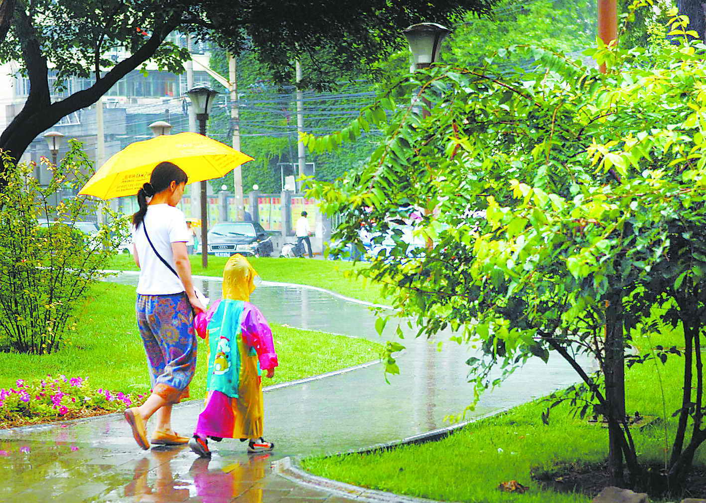 雨中情作文500字（小学四年级习作）