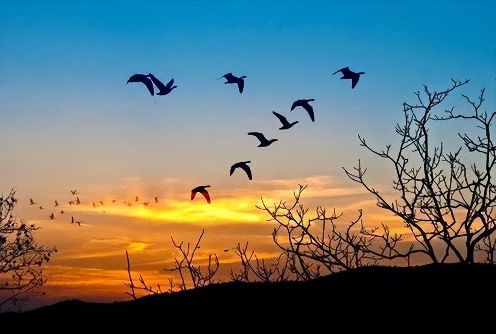 秋色的诗句7首，带你领略秋天之美!