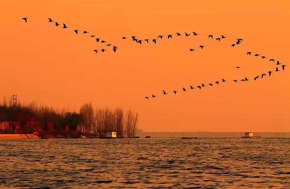 秋色的诗句7首，带你领略秋天之美!