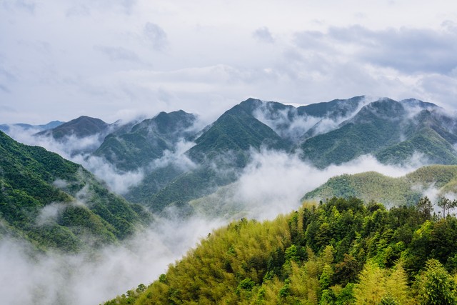 人生感悟的语句15句，值得一读再读!