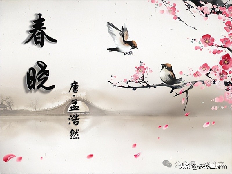 春天古诗25首，温柔又浪漫