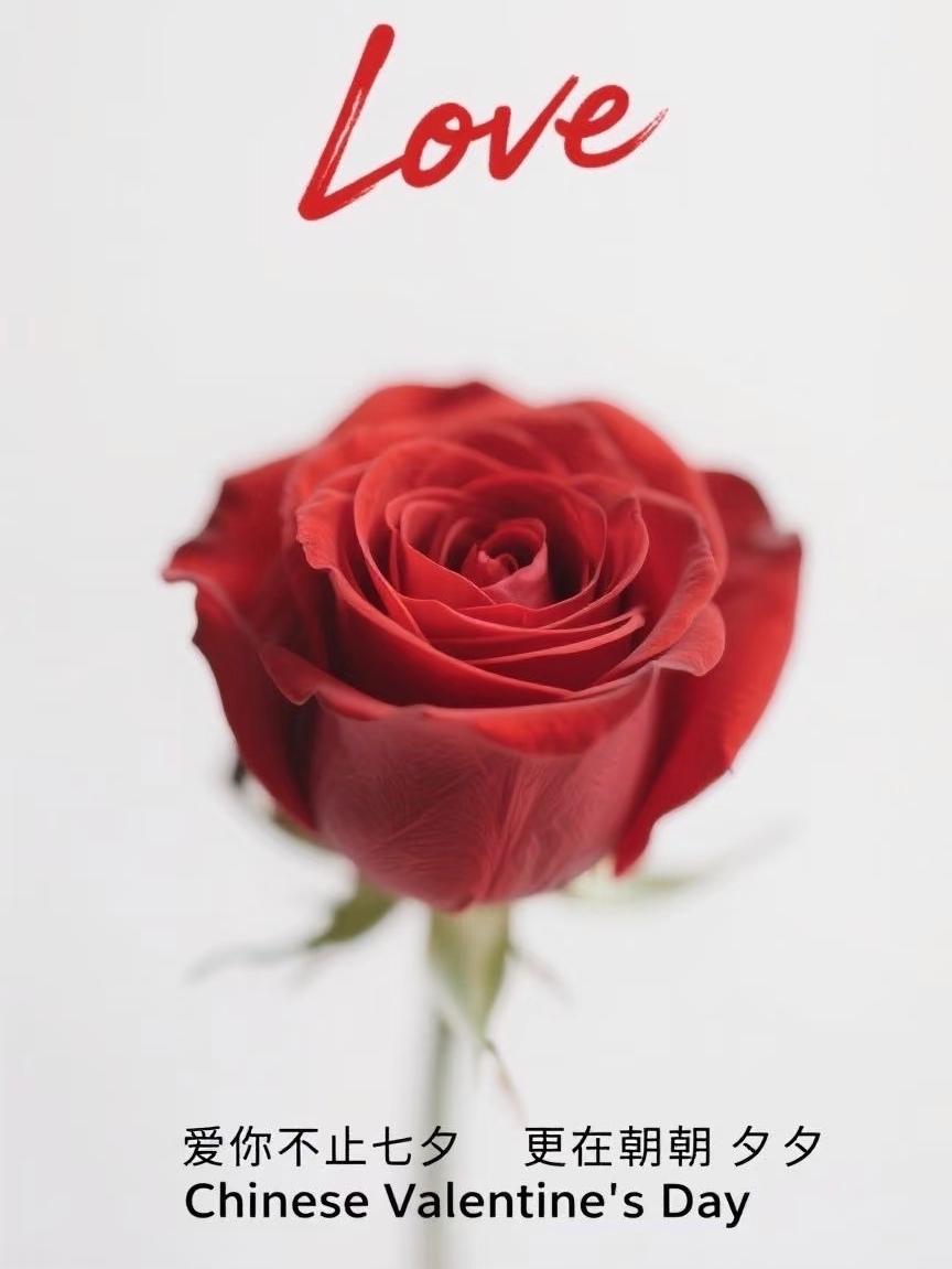 七夕节祝福的句子50句，句句爱意满满