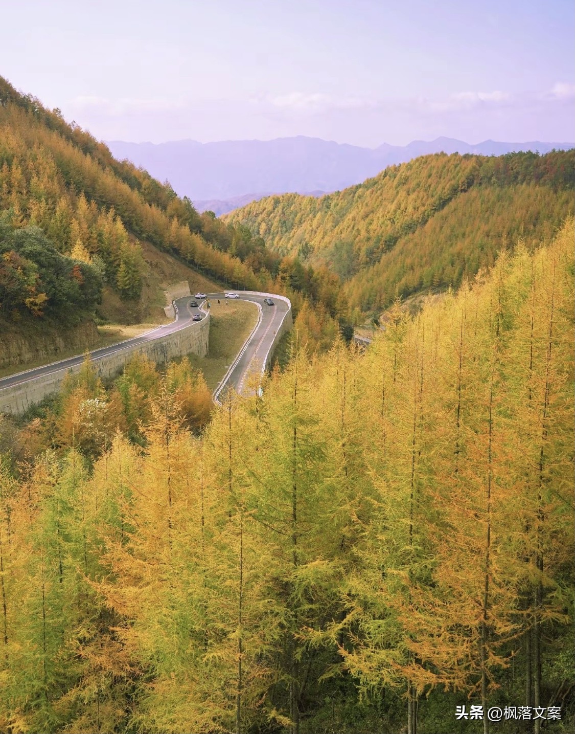 写秋天的句子22句，愿你秋日无烦忧