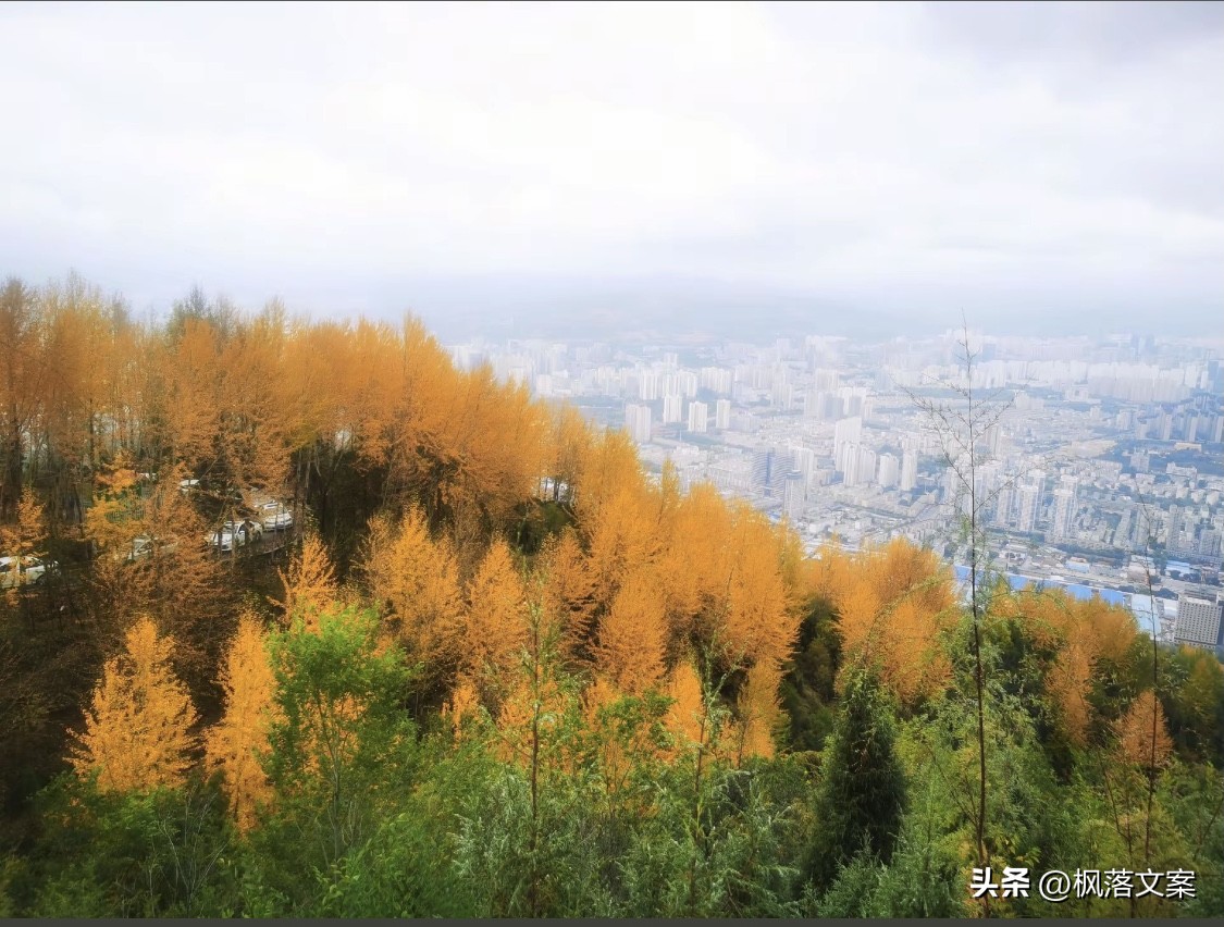 写秋天的句子22句，愿你秋日无烦忧