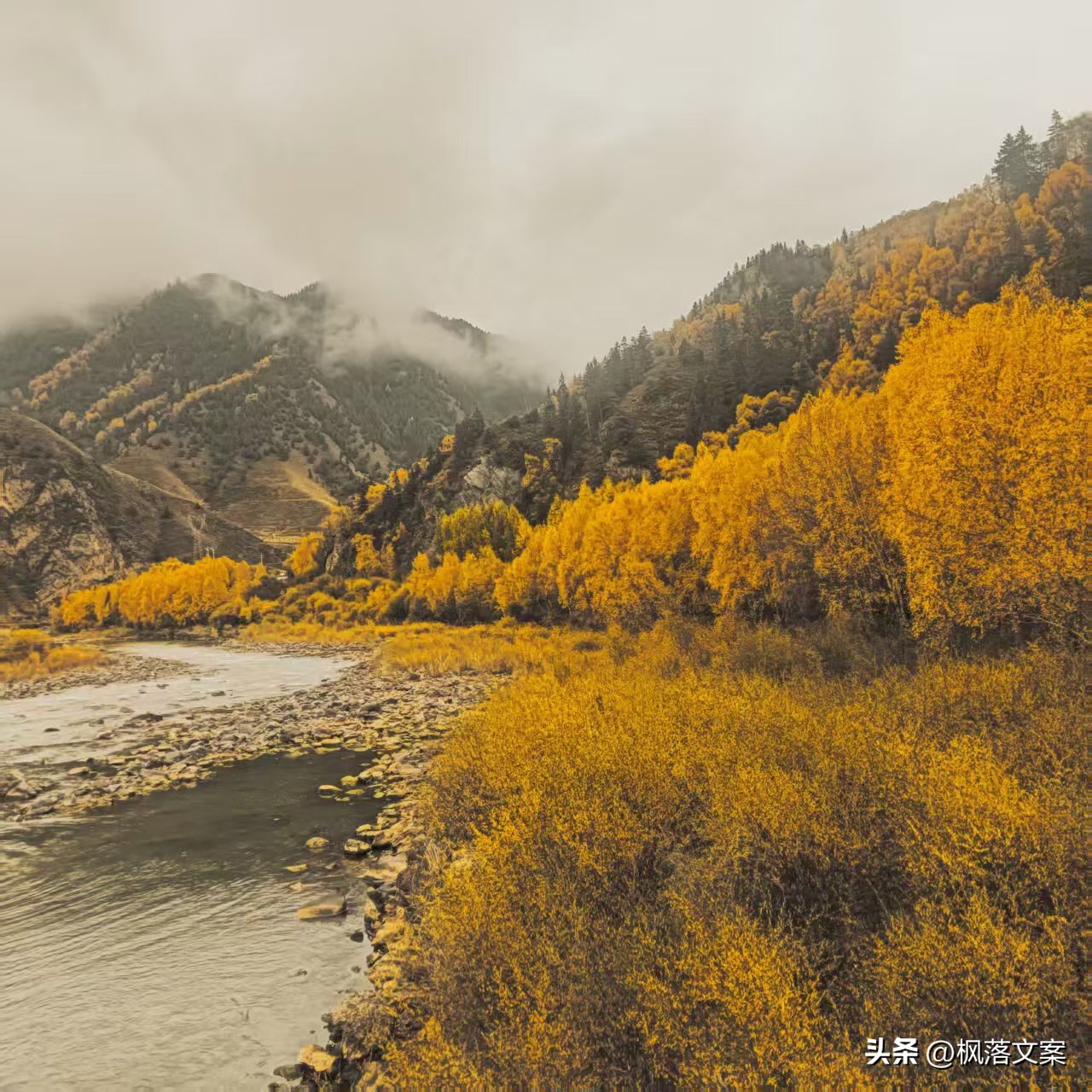 写秋天的句子22句，愿你秋日无烦忧