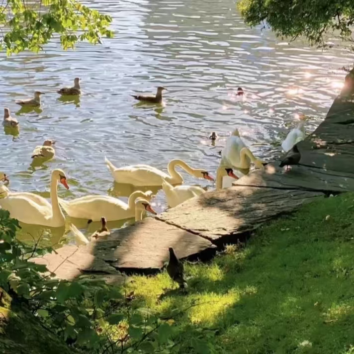 秋天唯美文案16句，藏着多少浪漫